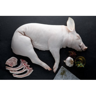 Cochinillo