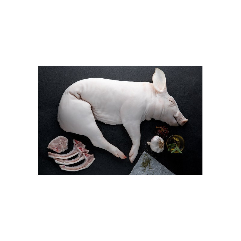Cochinillo Cochinillo