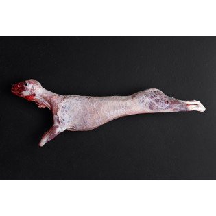Cabrito Lechal