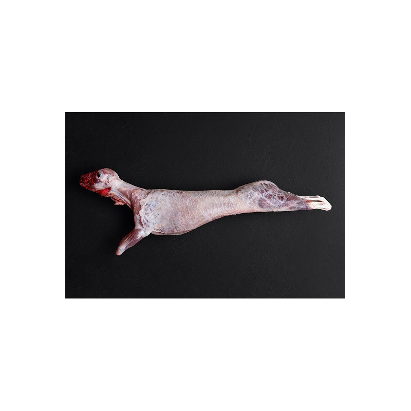 Cabrito Lechal Cabrito Lechal